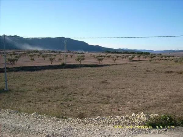 Terreno en Paraje Camara, 287 photo 1