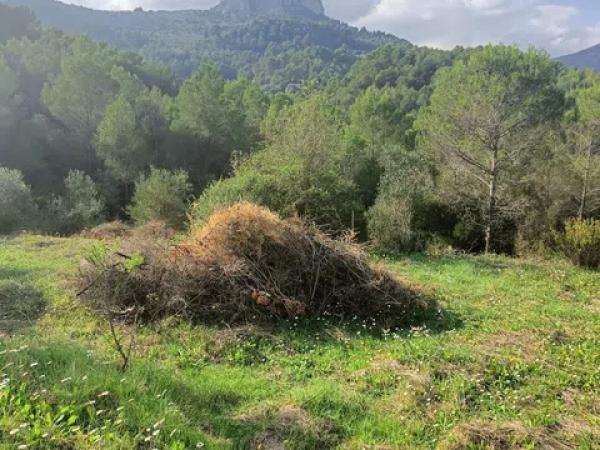 Terreno en Tarbena s/n photo 3