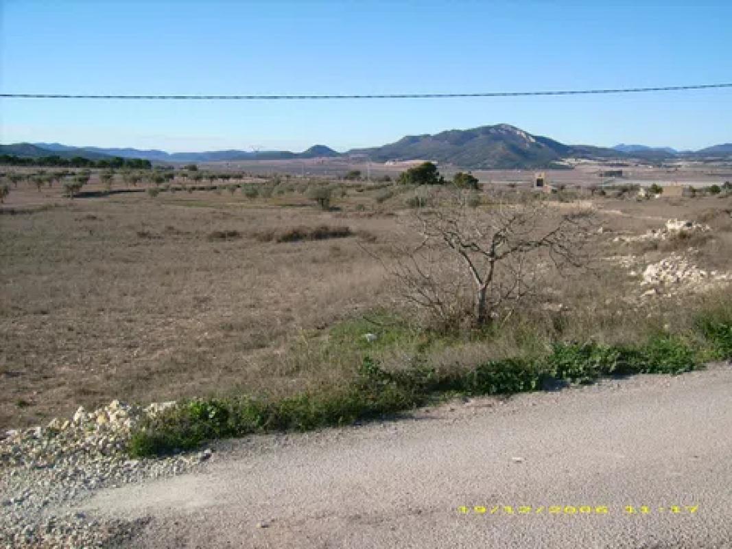 Działka na sprzedaż w Salinas, Alicante photo 3