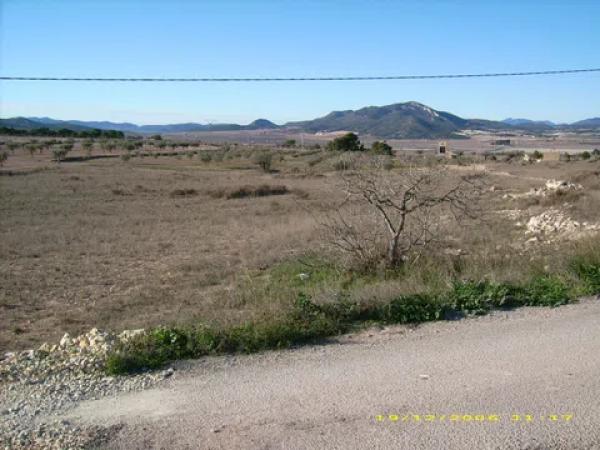 Terreno en Paraje Camara, 287 photo 3