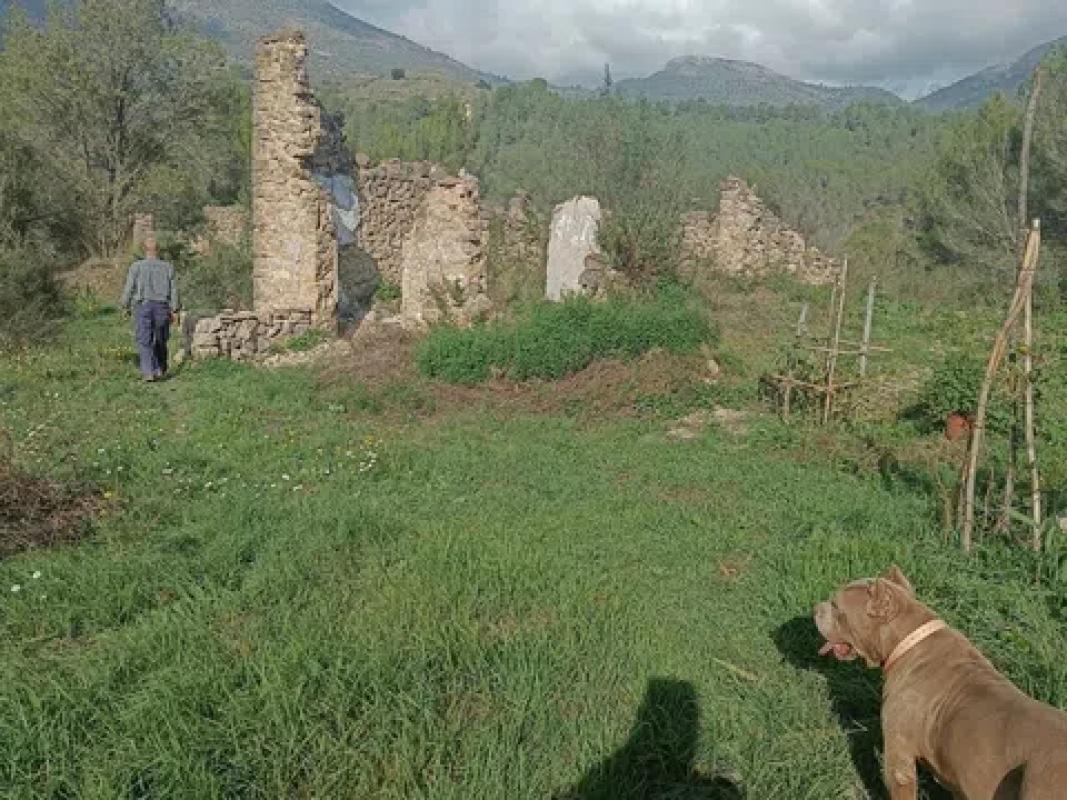 Участок земли на продажу в Тарбена, Аликанте photo 5