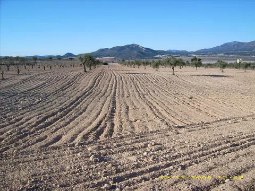 Działka na sprzedaż w Salinas, Alicante photo 4