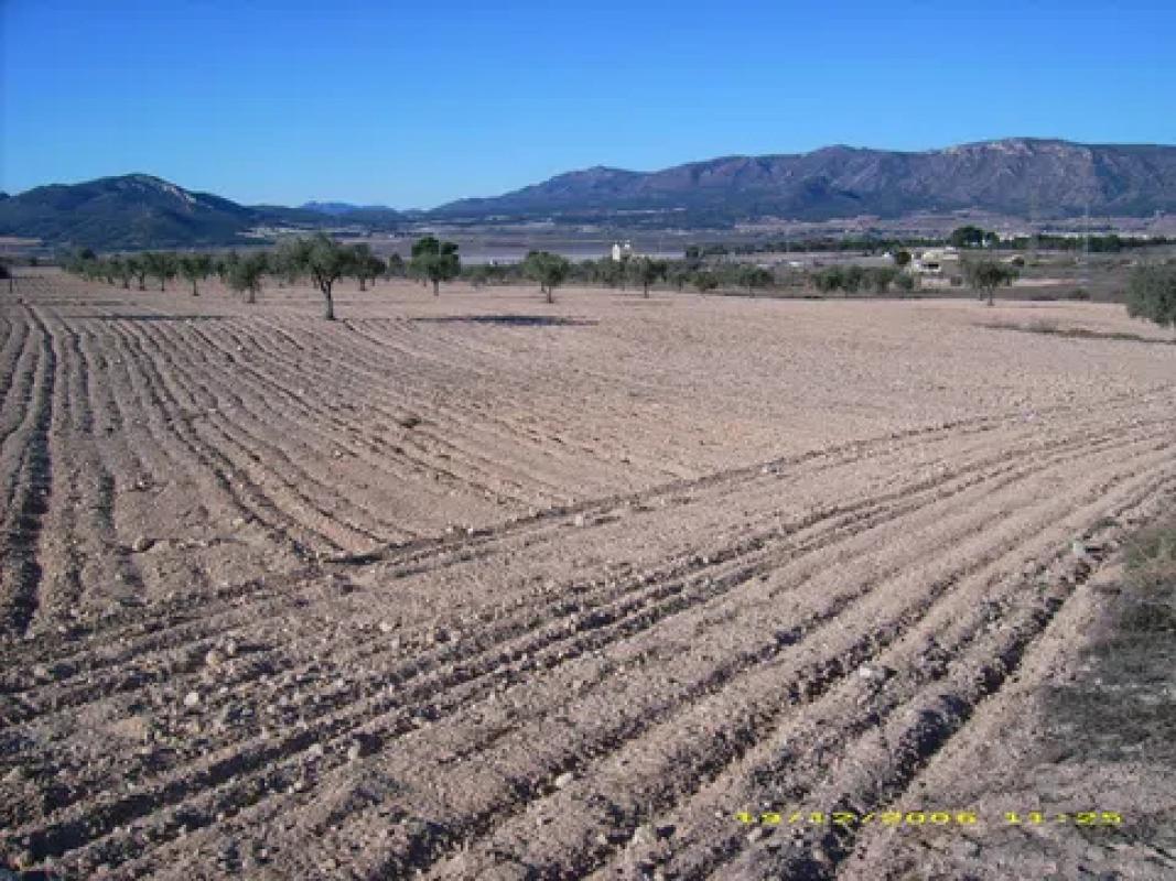 Działka na sprzedaż w Salinas, Alicante photo 5