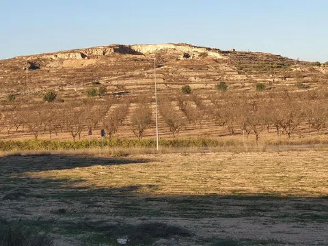 Land for sale in Pinoso, Alicante photo 1