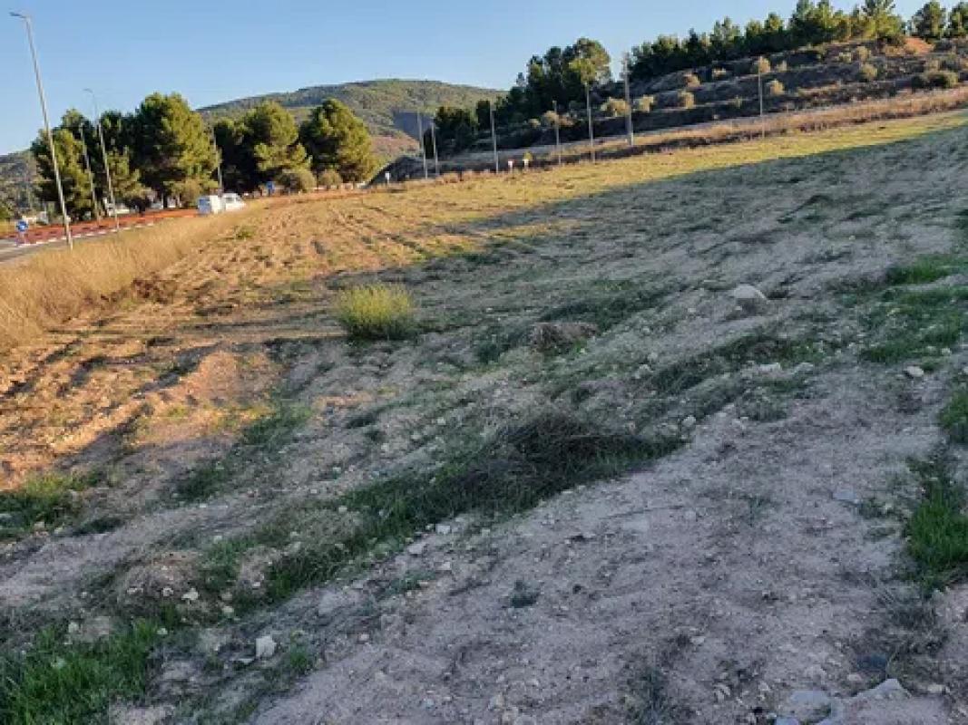 Land for sale in Pinoso, Alicante photo 2
