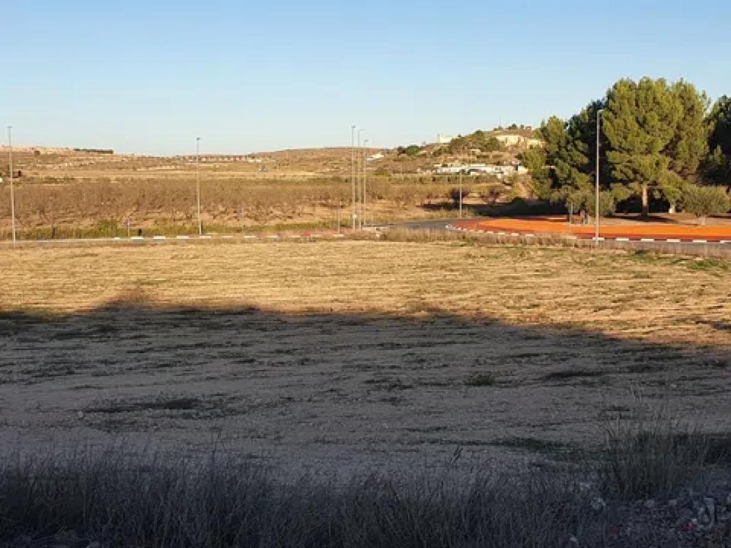 Land for sale in Pinoso, Alicante photo 3