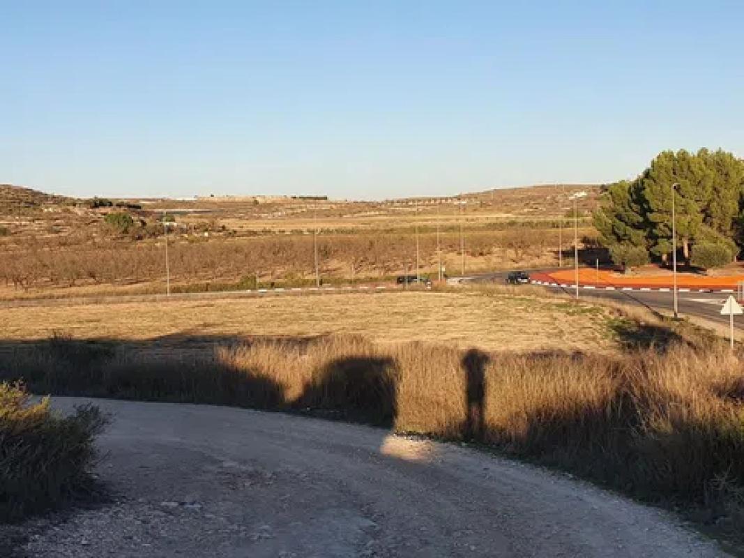 Land for sale in Pinoso, Alicante photo 4