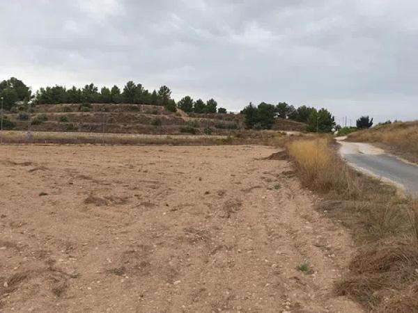 Terreno en camino Toscar Lel photo 1