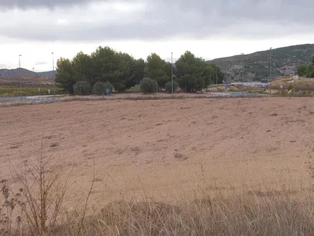 Terreno en venta en Pinoso, Alicante photo 2