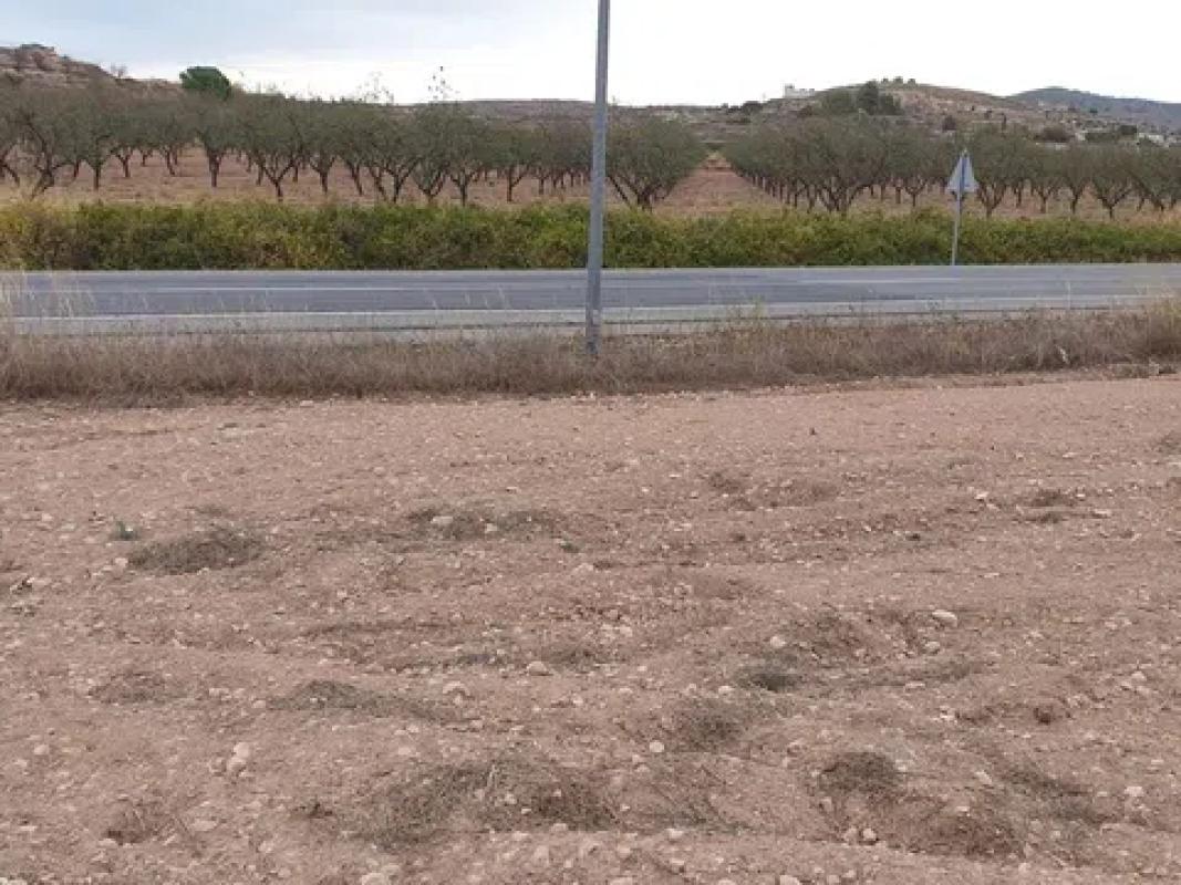 Terreno en venta en Pinoso, Alicante photo 3