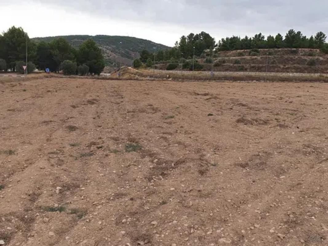 Terreno en venta en Pinoso, Alicante photo 4