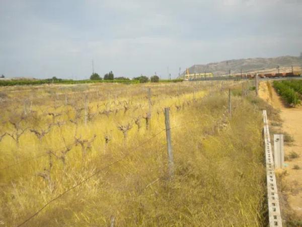 Terreno en Monforte del Cid thumbnail 2
