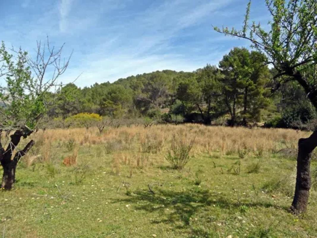 Terreno en venta en Murla, Alicante photo 1