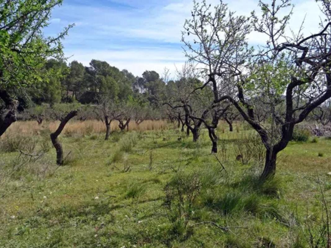 Terreno en venta en Murla, Alicante photo 2