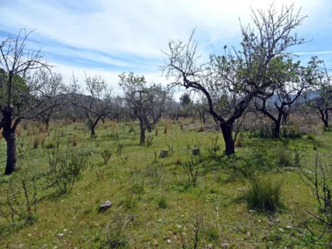 Terreno en venta en Murla, Alicante photo 3