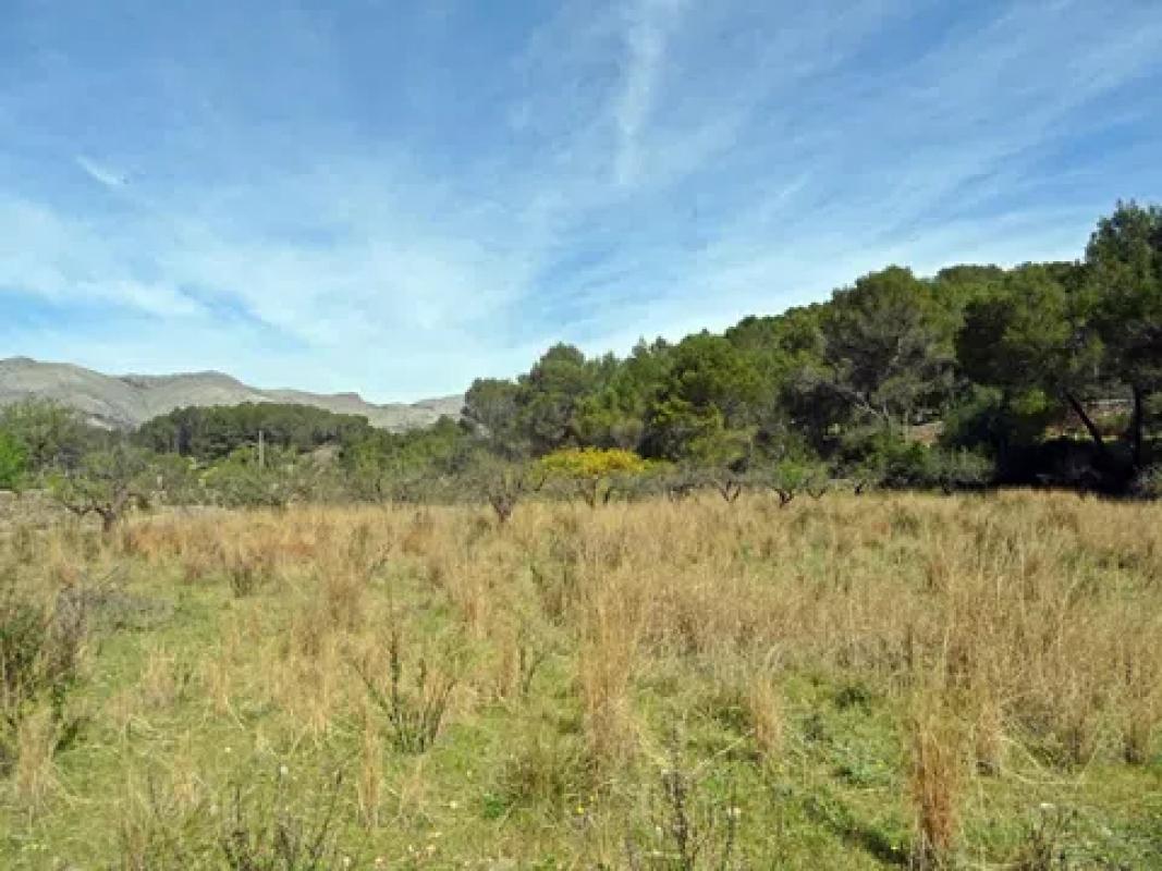Terreno en venta en Murla, Alicante photo 4