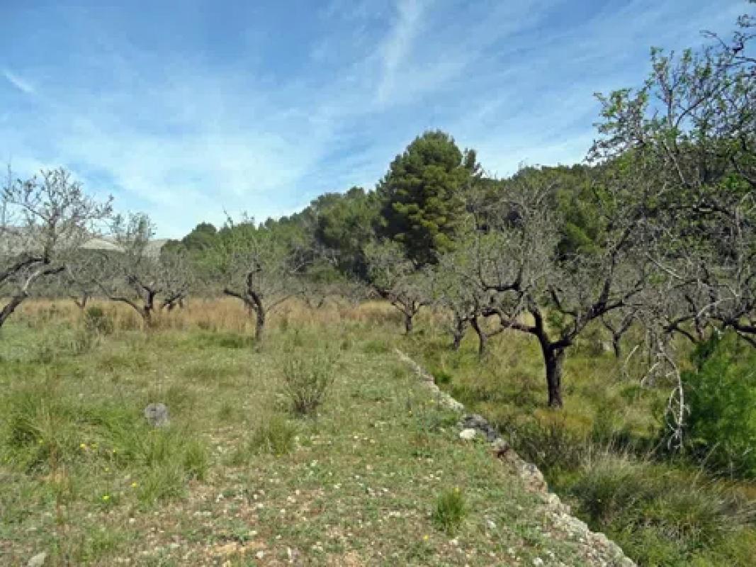 Terreno en venta en Murla, Alicante photo 5