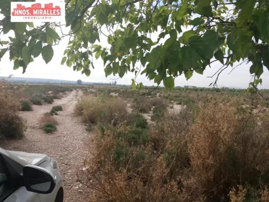 Działka na sprzedaż w Almoradí, Alicante photo 2