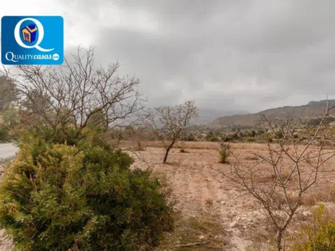 Terreno en venta en Aigües, Alicante photo 2