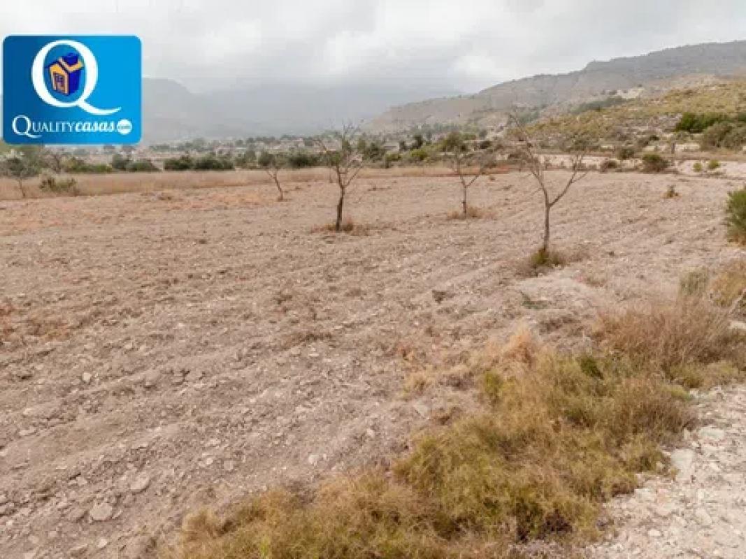 Terreno en venta en Aigües, Alicante photo 3