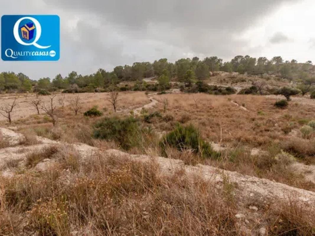 Terreno en venta en Aigües, Alicante photo 4