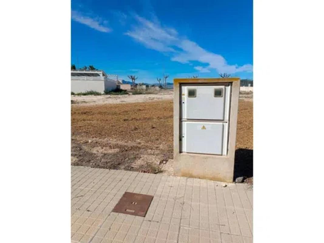 Land for sale in Monforte del Cid, Alicante photo 2