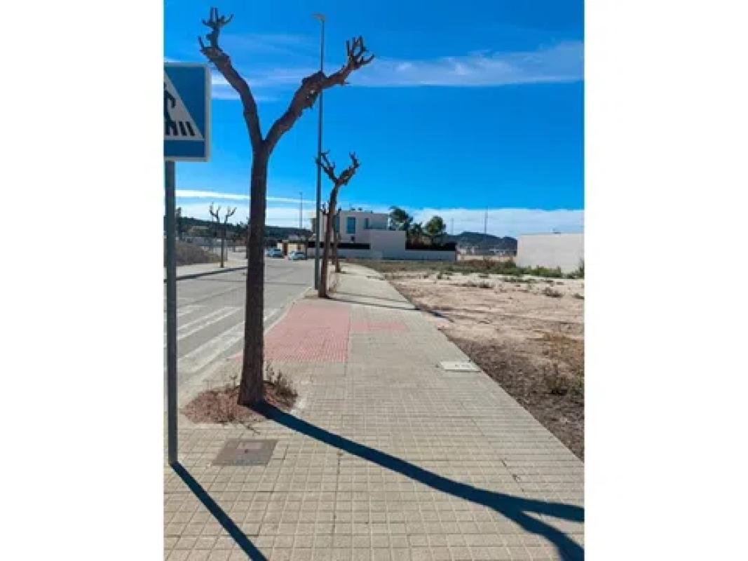 Land for sale in Monforte del Cid, Alicante photo 3