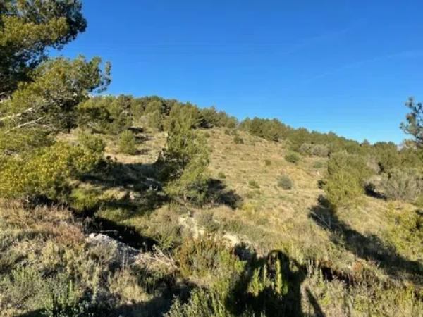 Terreno en Guadalest photo 1