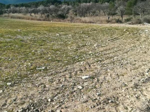 Terreno en via del Mediterráneo, 3 photo 1