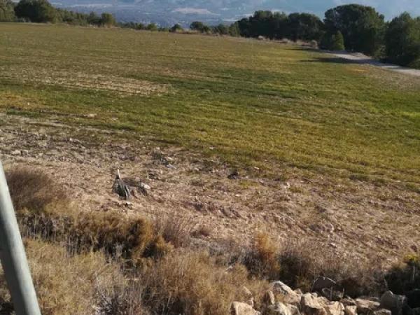 Terreno en via del Mediterráneo, 3 thumbnail 1
