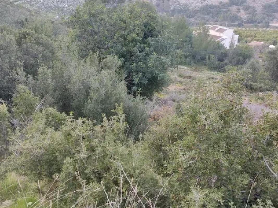 Terreno en venta en Pego, Alicante photo 2