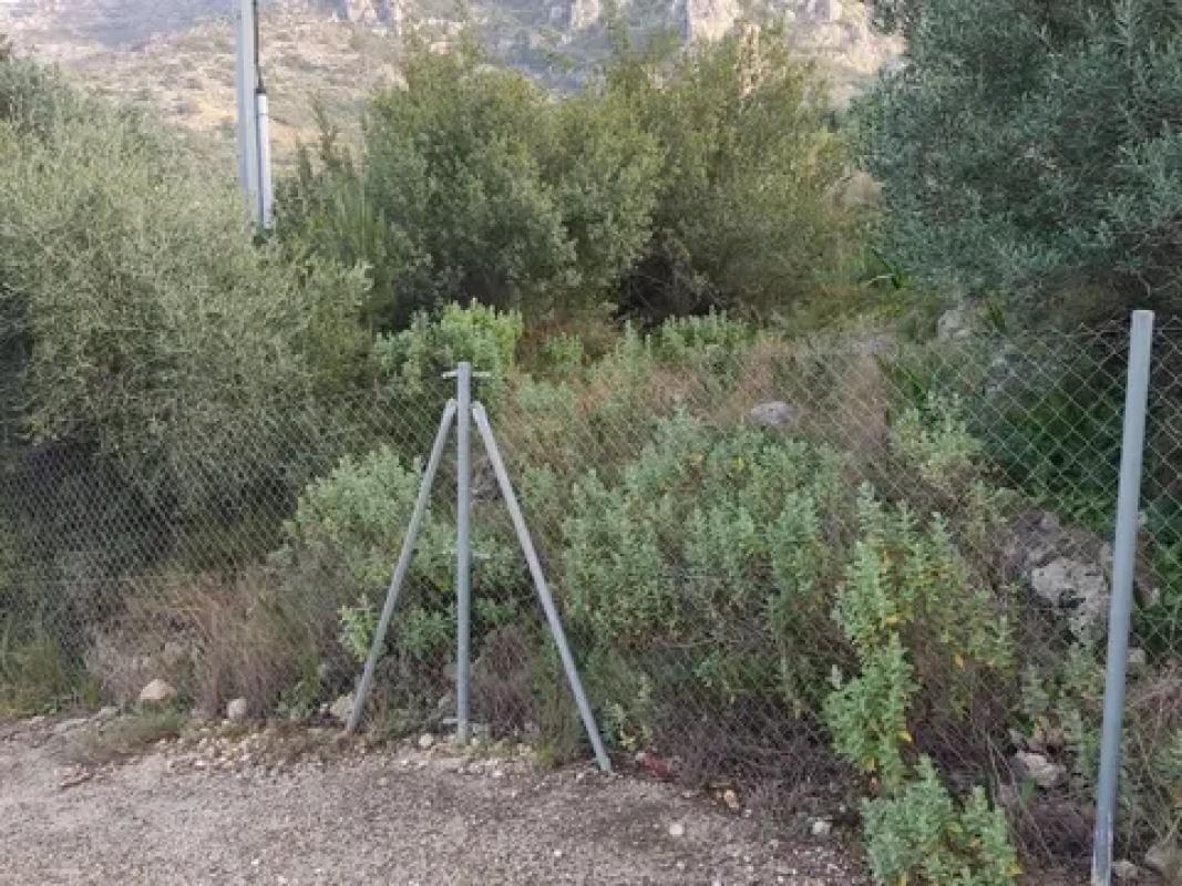 Terreno en venta en Pego, Alicante photo 4