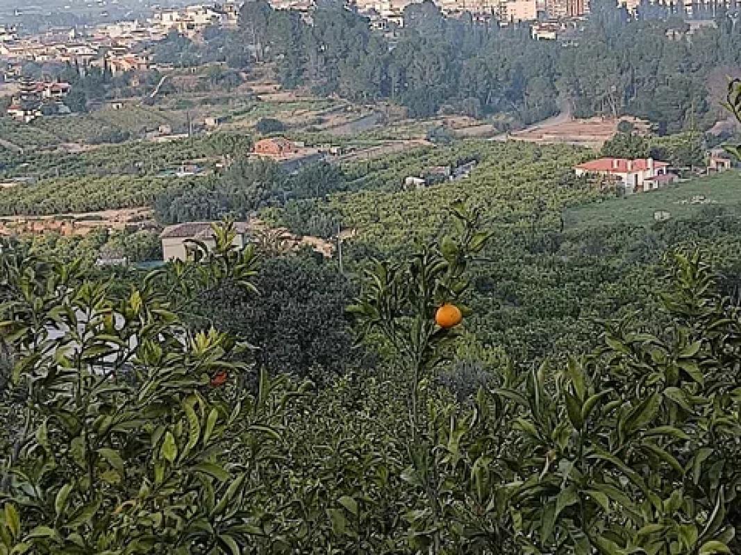 Terreno en venta en Pego, Alicante photo 5