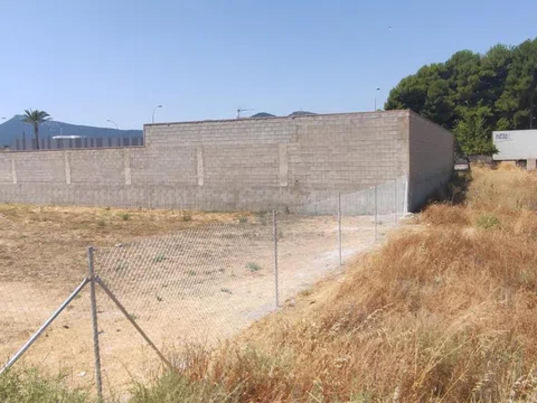 Land for sale in Castalla, Alicante photo 3