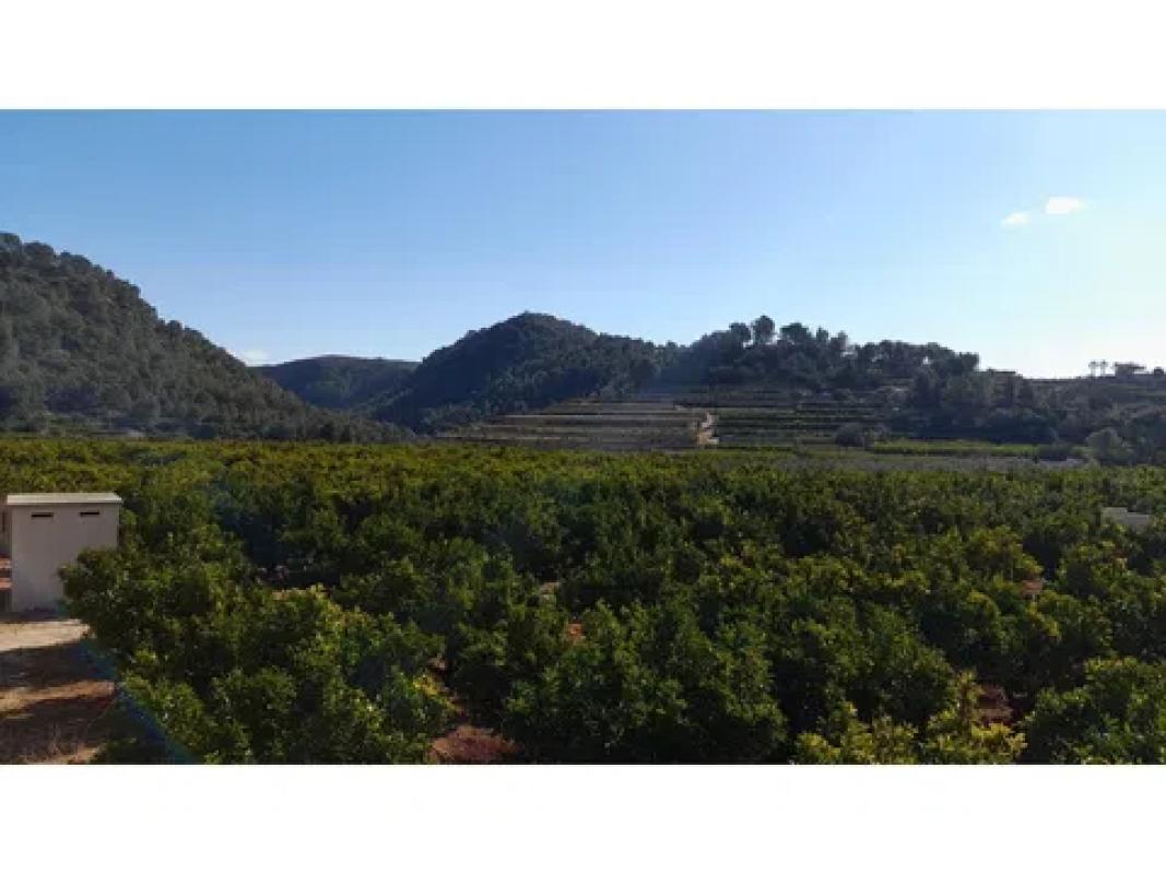 Terreno en venta en Pego, Alicante photo 1