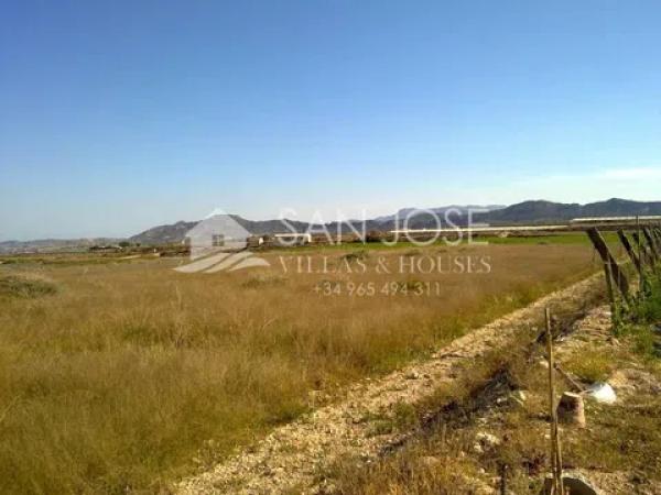 Terreno en Novelda photo 3