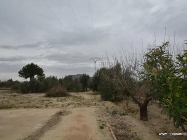 Terreno en Bigastro photo 2