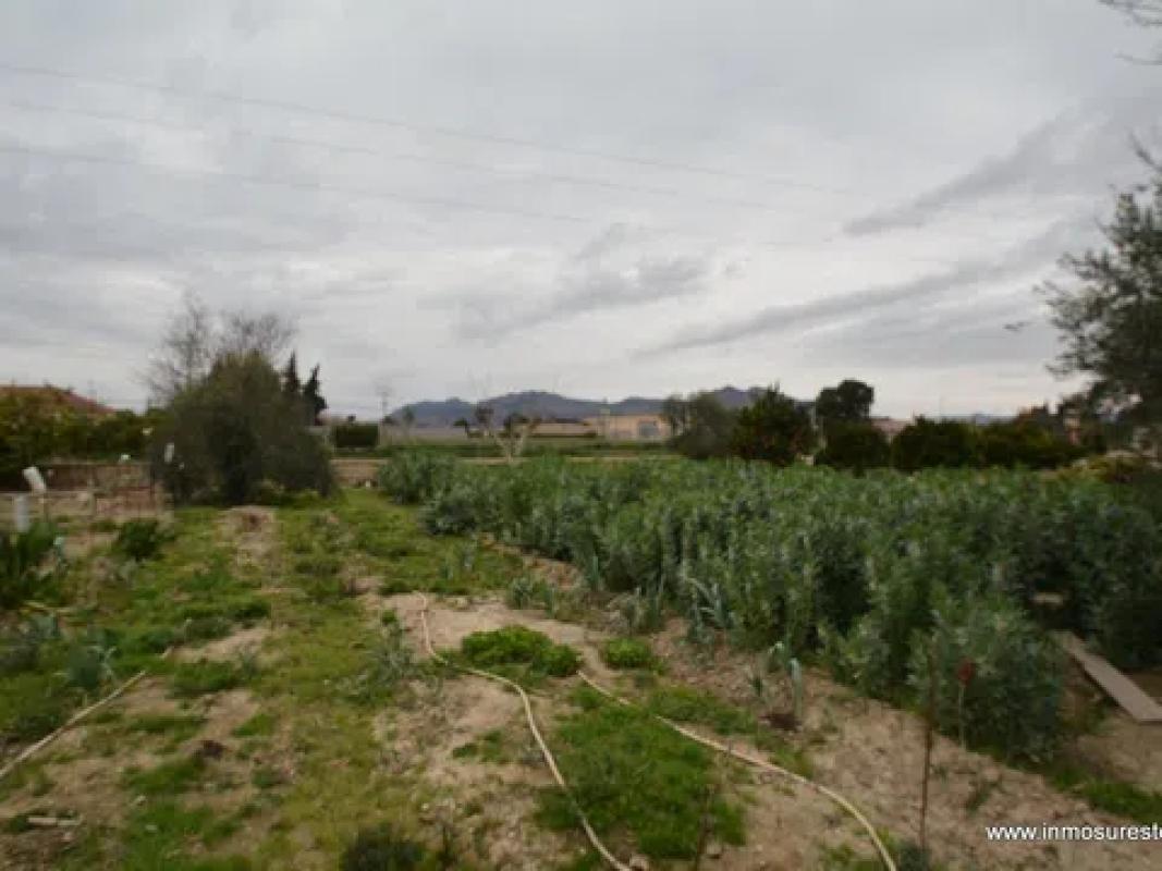 Działka na sprzedaż w Bigastro, Alicante photo 4