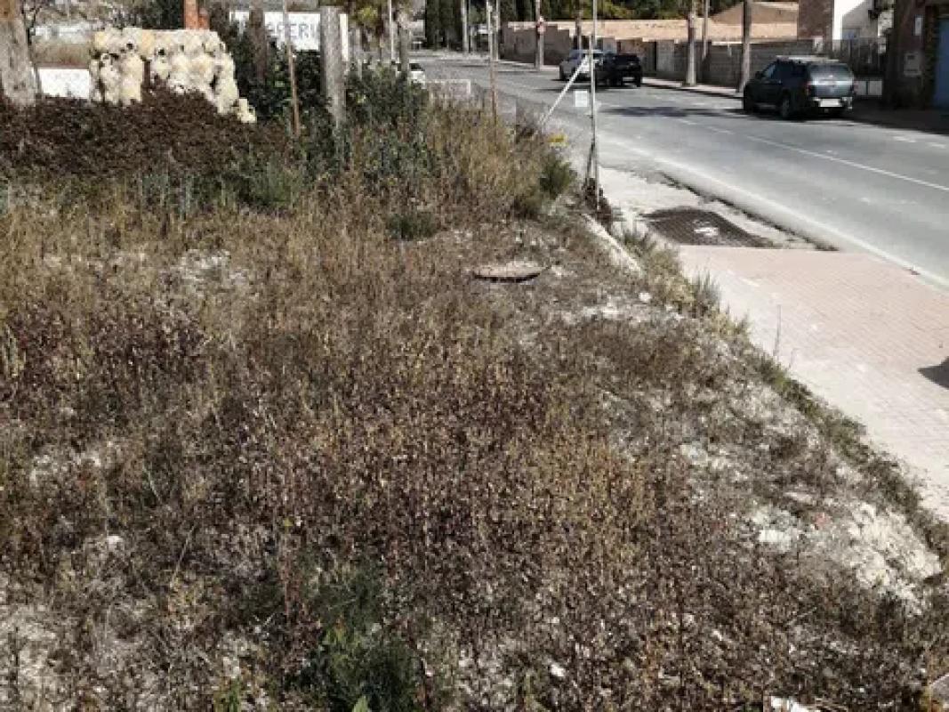 Land for sale in August, Alicante photo 3