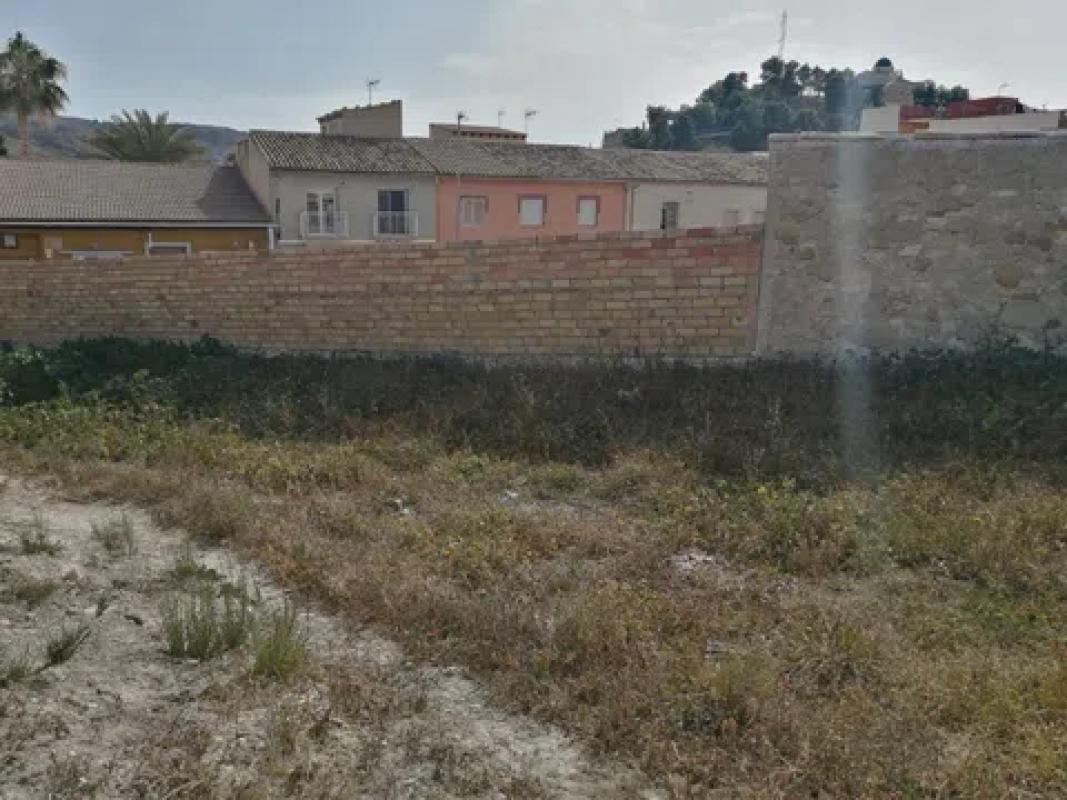 Land for sale in August, Alicante photo 4