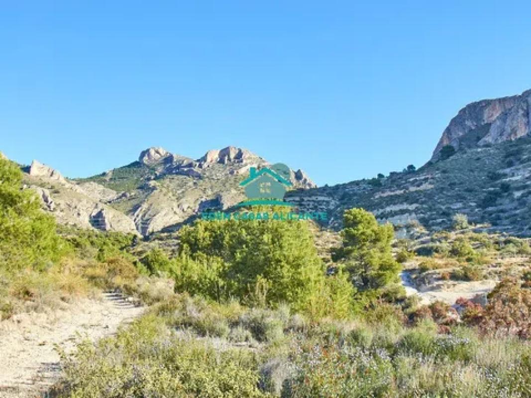 Terreno en venta en Busot, Alicante photo 2