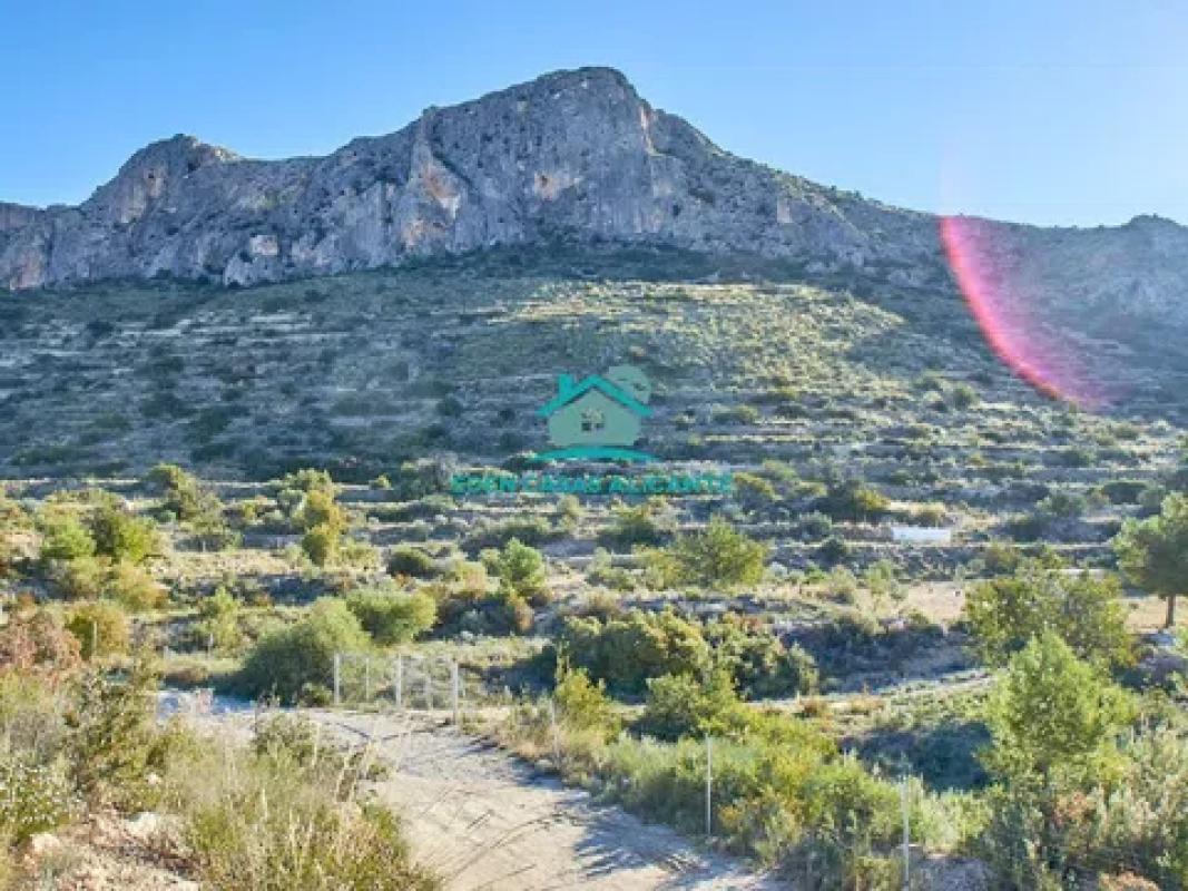 Terreno en venta en Busot, Alicante photo 3