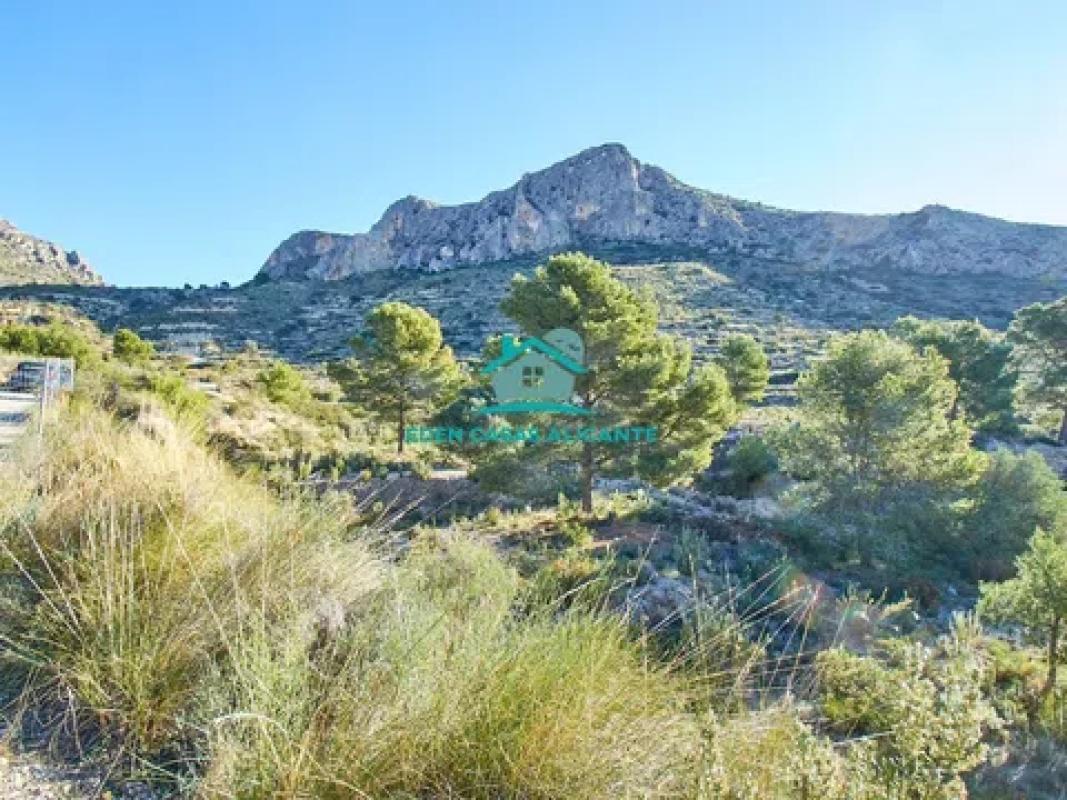 Terreno en venta en Busot, Alicante photo 4