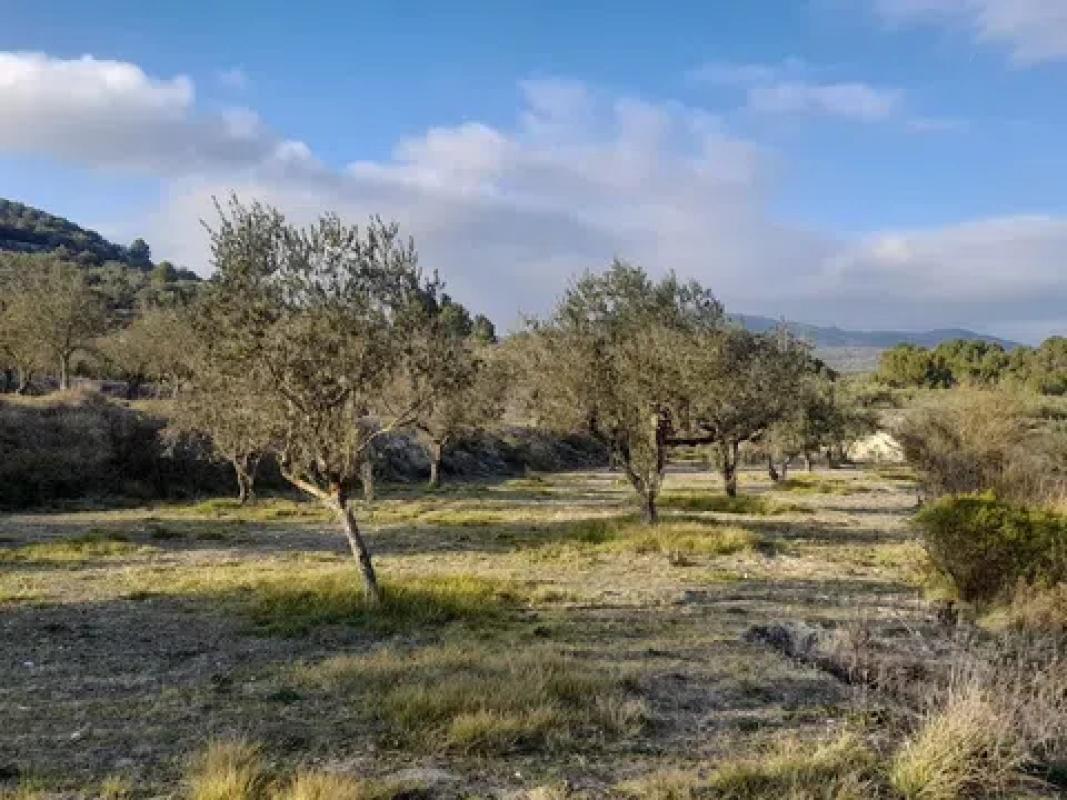 Land for sale in Beniarrés, Alicante photo 4