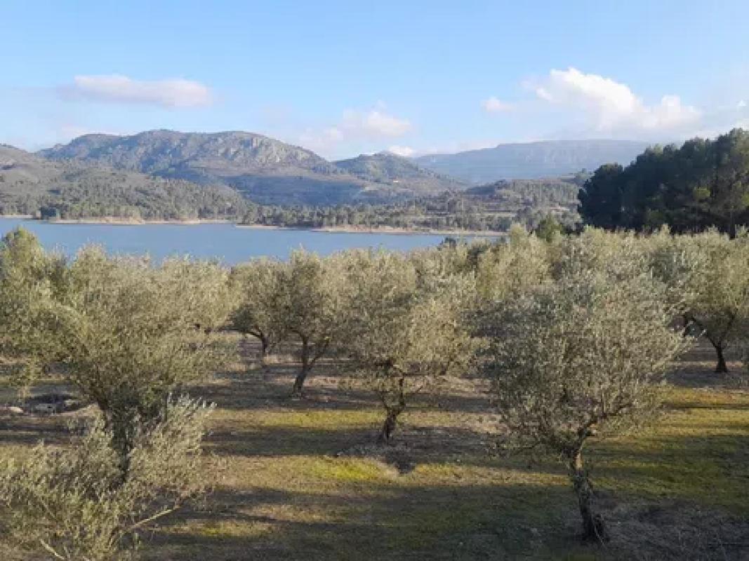 Land for sale in Beniarrés, Alicante photo 5