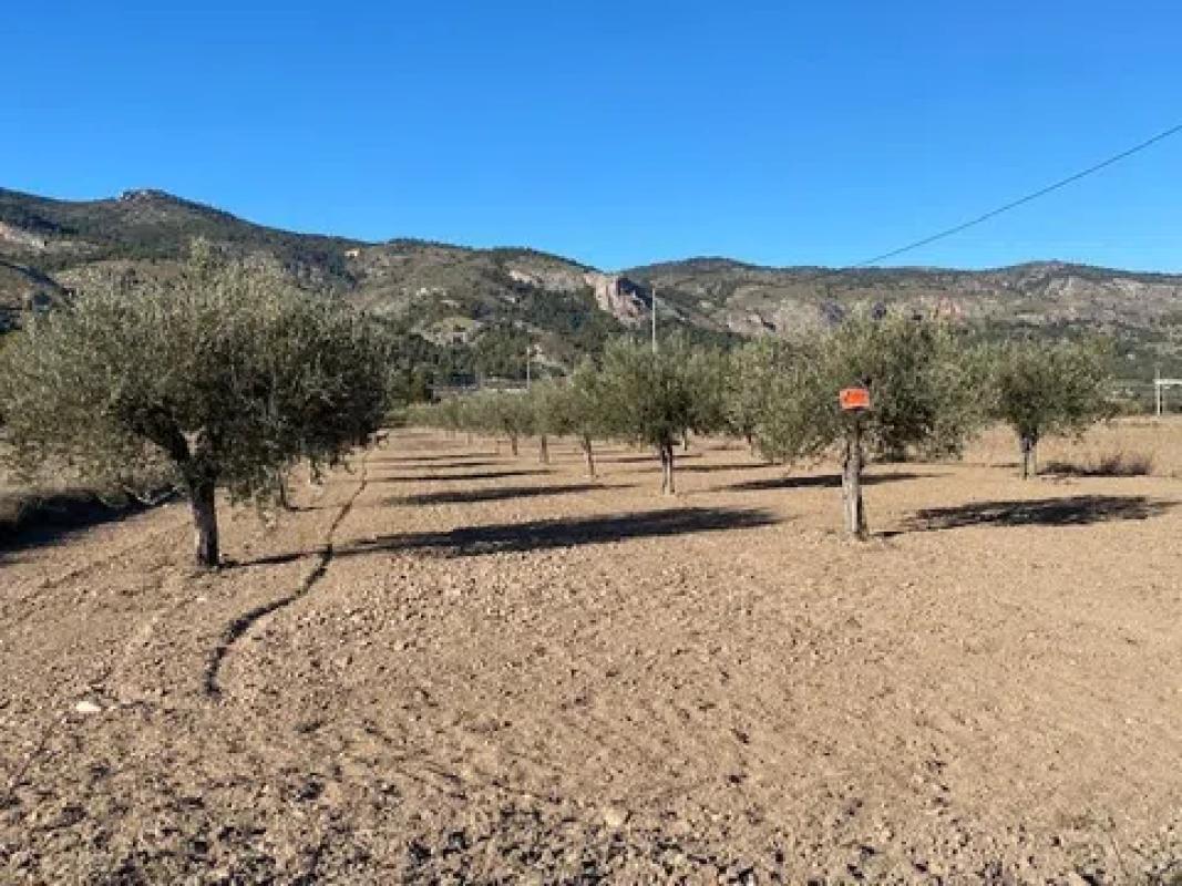 Działka na sprzedaż w Castalla, Alicante photo 1