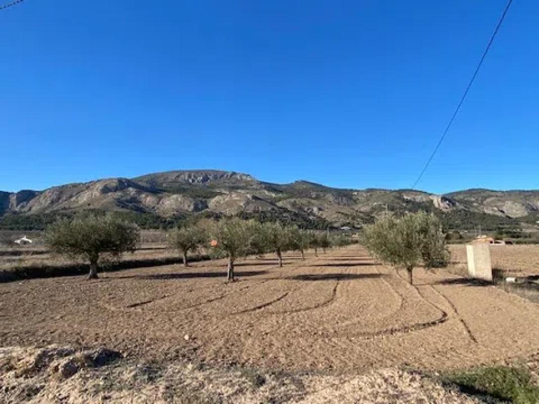 Działka na sprzedaż w Castalla, Alicante photo 5