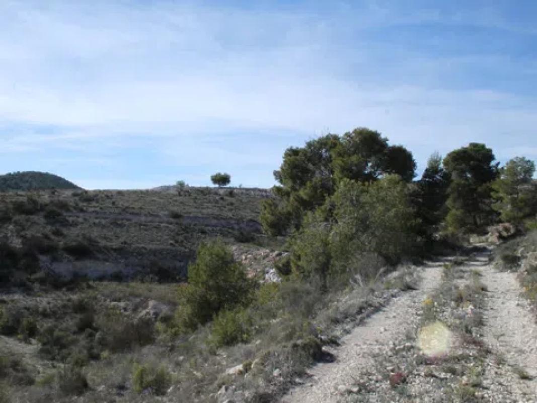 Terreno en venta en La Romana, Alicante photo 3