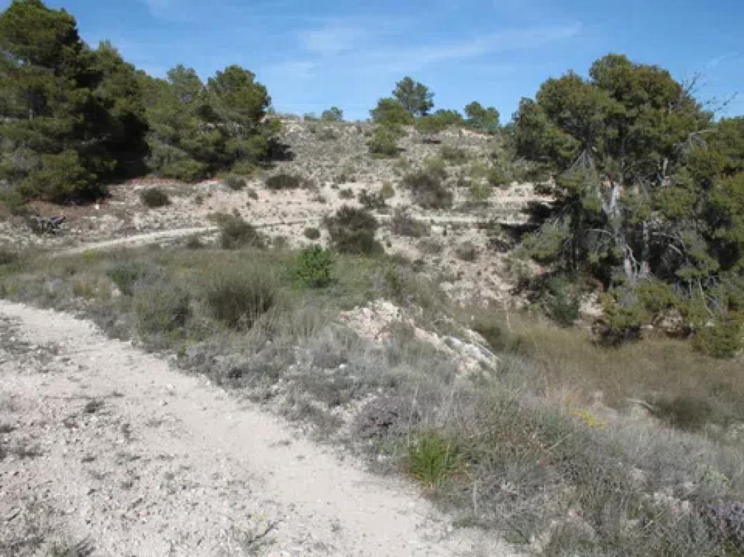 Terreno en venta en La Romana, Alicante photo 5