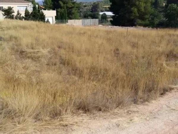 Terreno en Urbanización finca terol s/n thumbnail 2